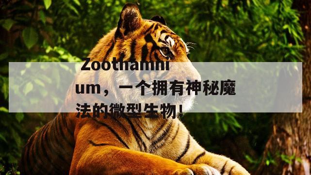  Zoothamnium，一个拥有神秘魔法的微型生物！